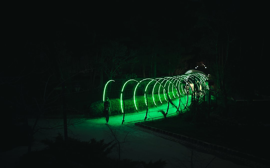 Oświetlenie bioluminescencyjne: nowy trend w aranżacji wnętrz 6 Photo bioluminescent lighting