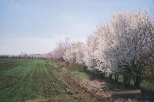 Photo agroecological properties