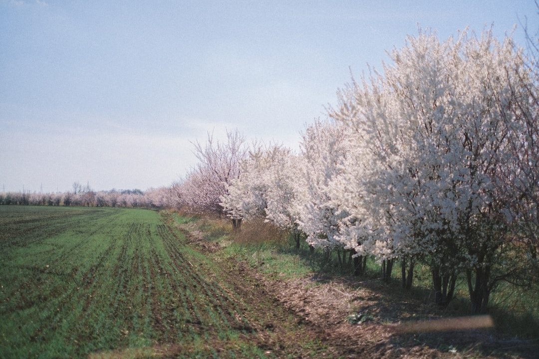Photo agroecological properties
