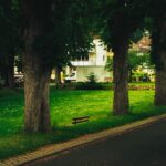 Photo apartments for seniors in big cities