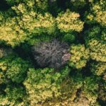 Photo environmental reports