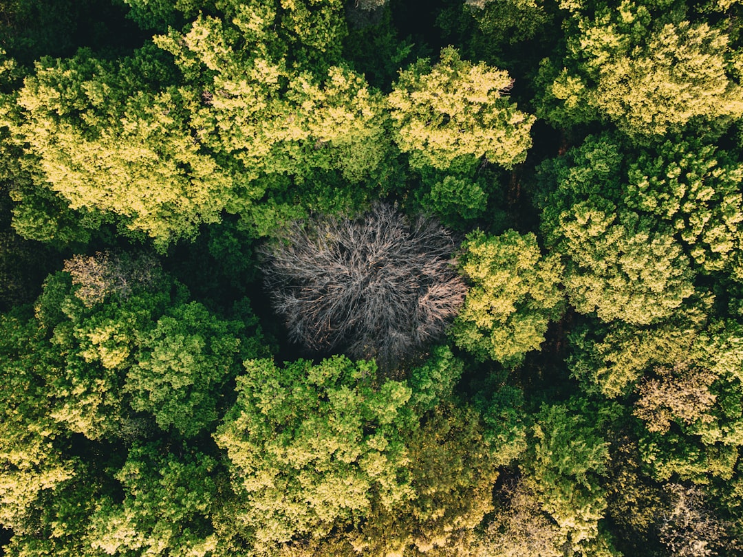 Photo environmental reports