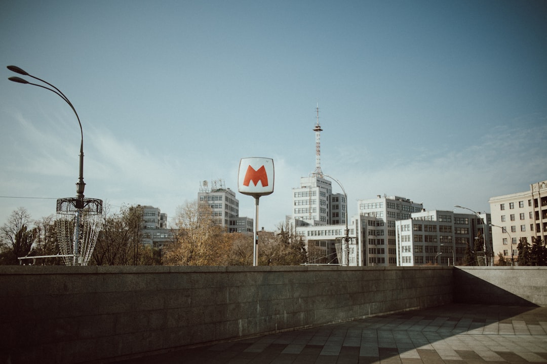Photo bioniczna miast